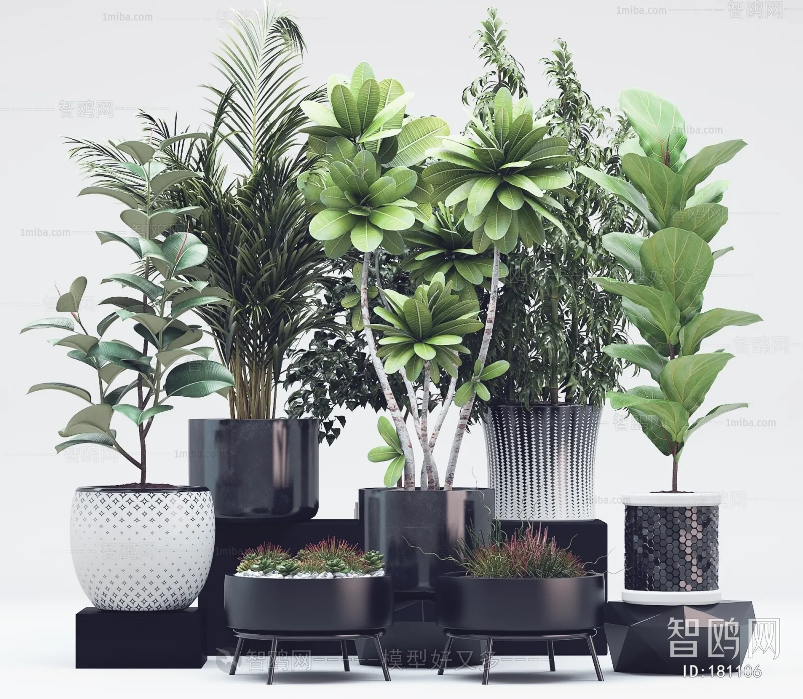 PLANT 3D MODELS – 003
