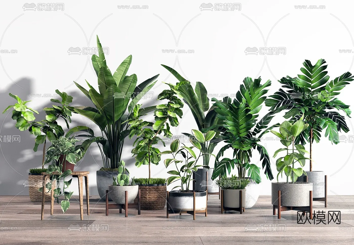 PLANT 3D MODELS – 018