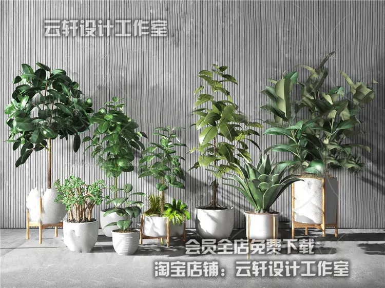 PLANT 3D MODELS – 019