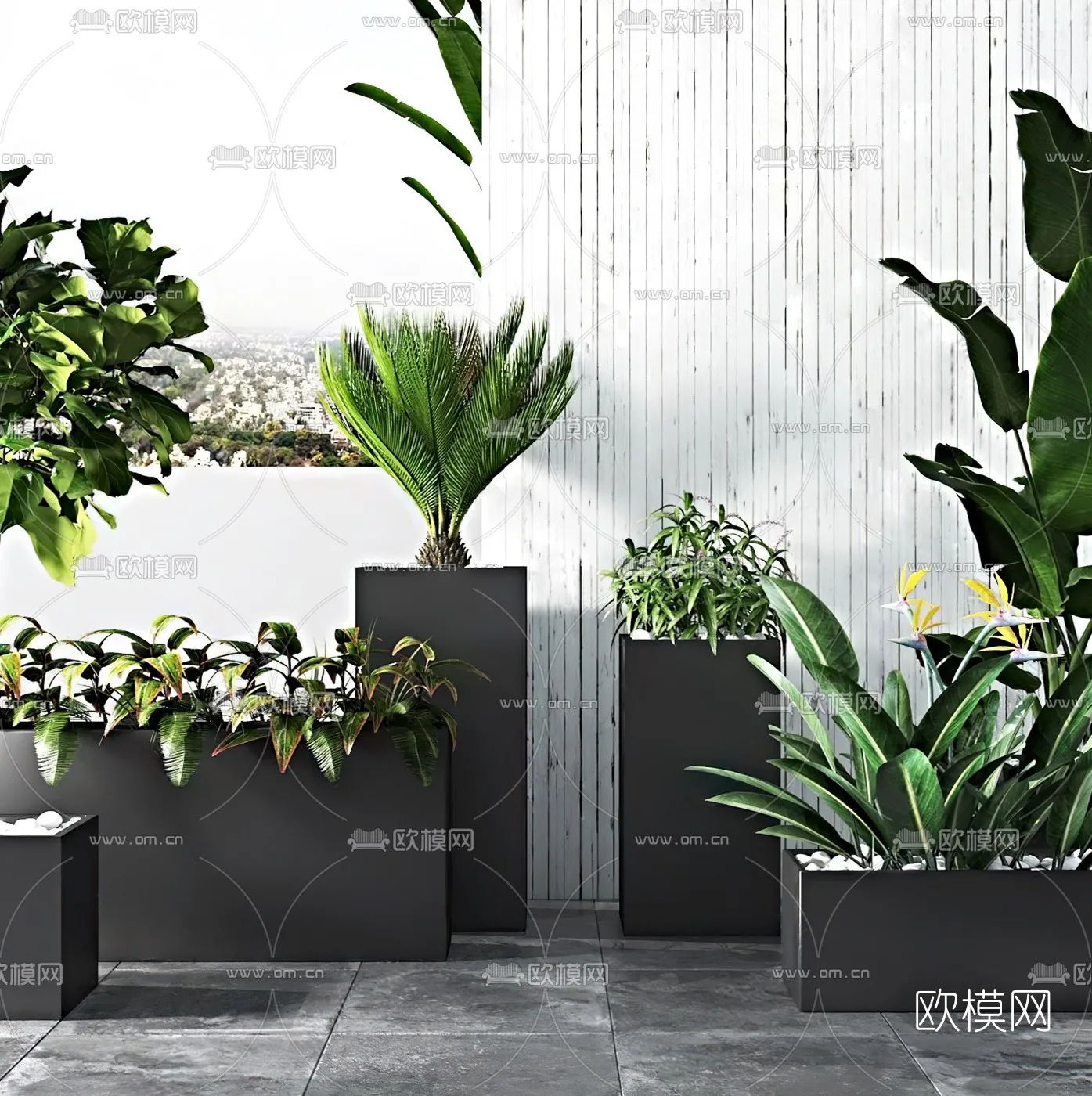 PLANT 3D MODELS – 023