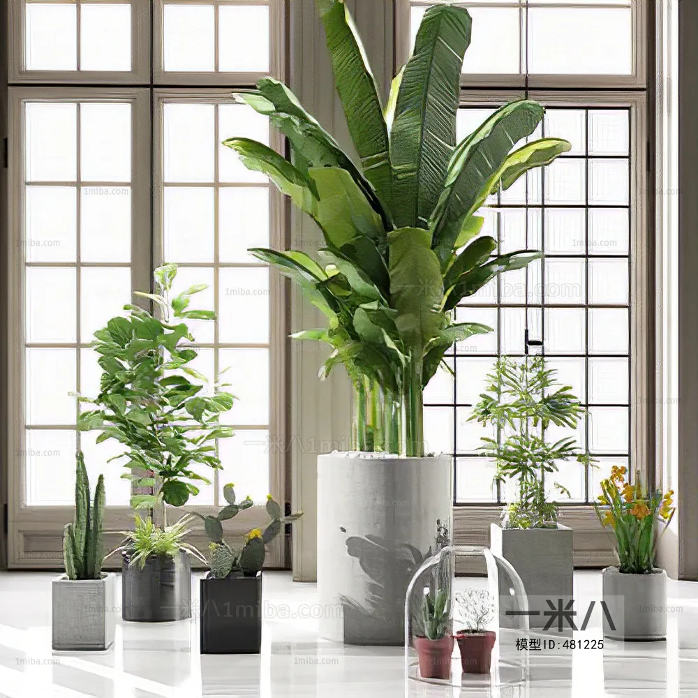 PLANT 3D MODELS – 030