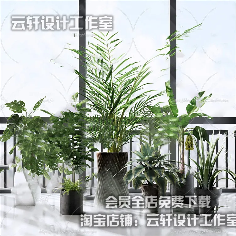 PLANT 3D MODELS – 035