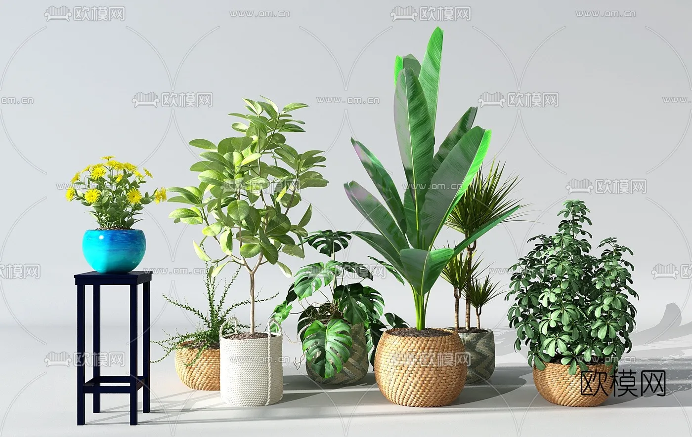 PLANT 3D MODELS – 042