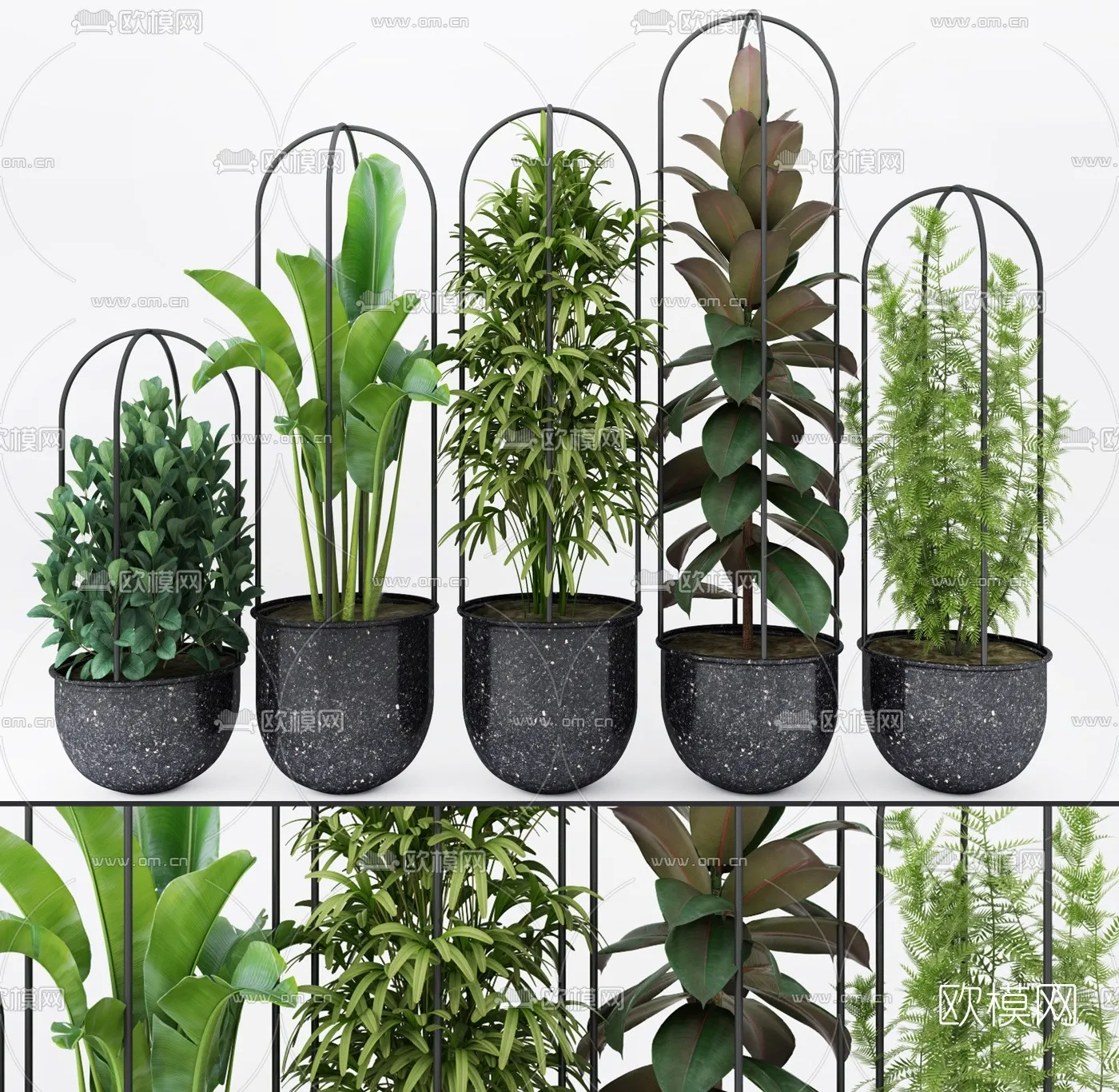 PLANT 3D MODELS – 045