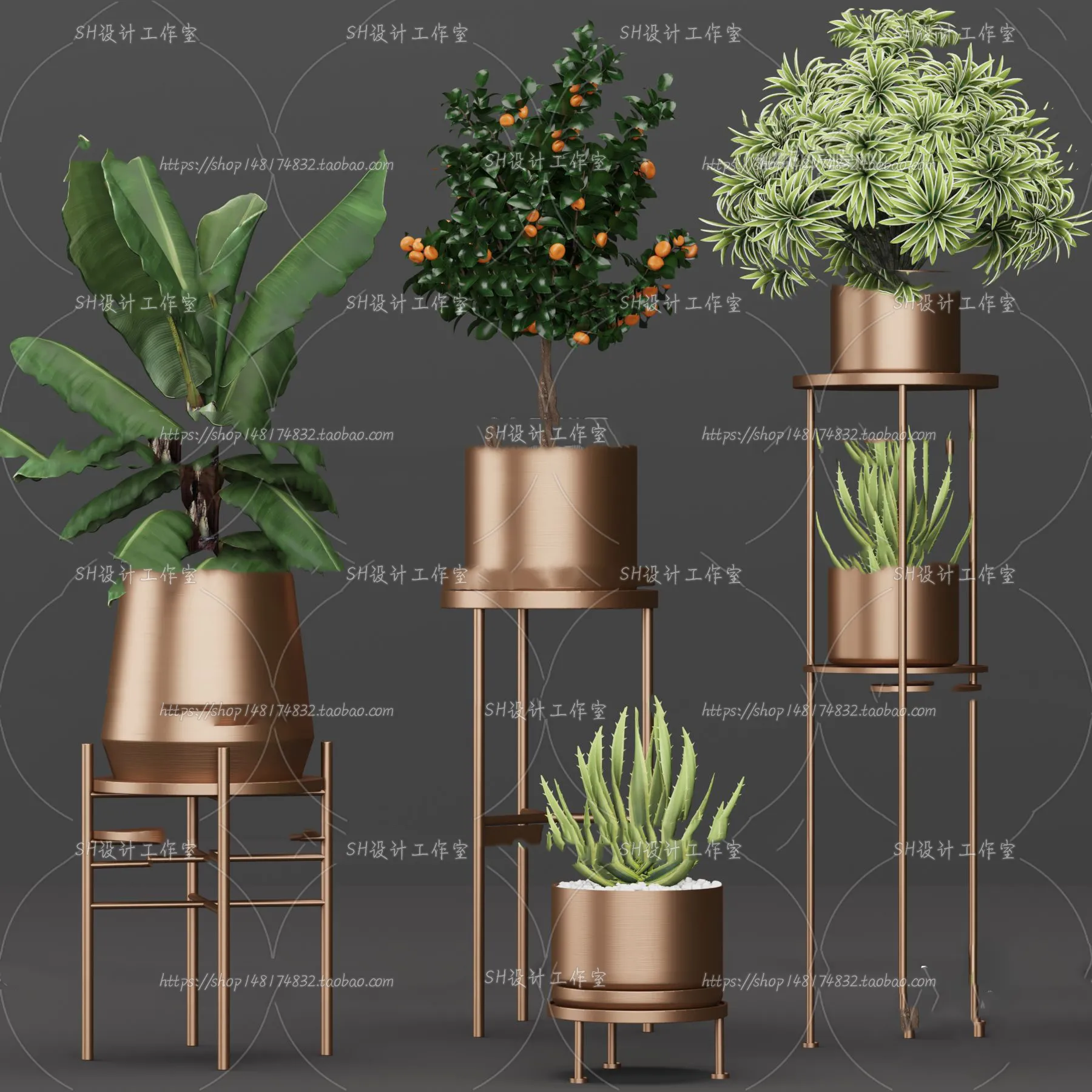 PLANT 3D MODELS – 077