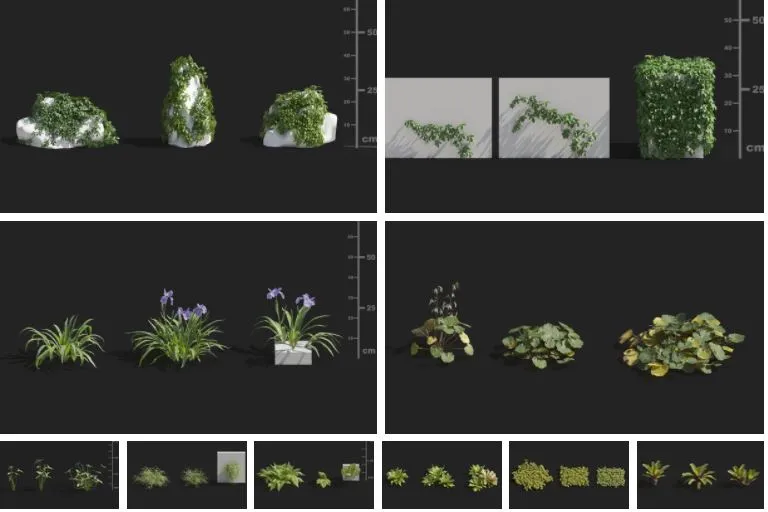 3ds Max Files – Model – 14 – Plant Model – 15 – Plant Models By NguyenHa