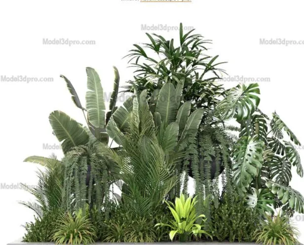 3ds Max Files – Model – 14 – Plant Model – 5 – Plant Models By NguyenHa