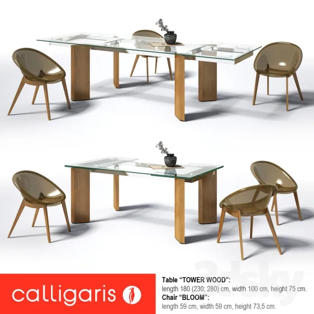 FURNITURE – TABLE AND CHAIRS 3D MODELS – 243