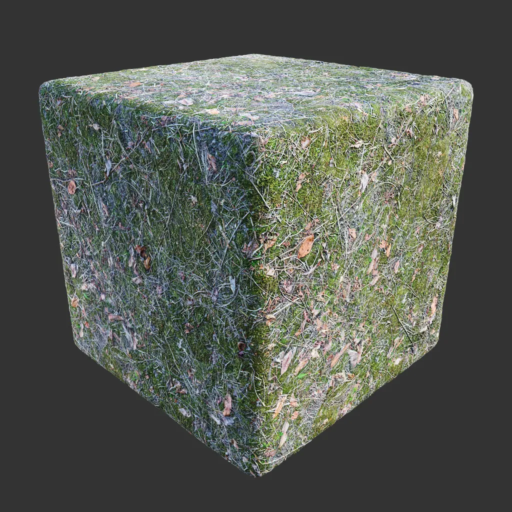 PBR TEXTURES – FULL OPTION – Ground Forest  – 545