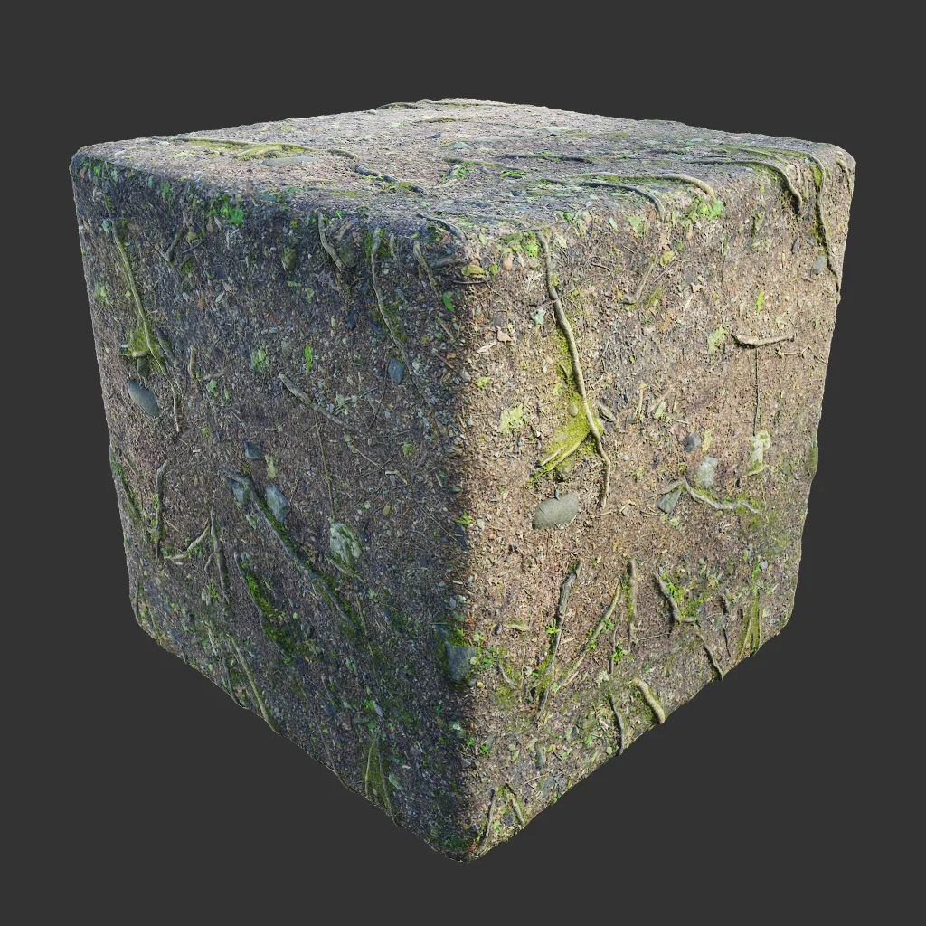 PBR TEXTURES – FULL OPTION – Ground Forest Path – 555