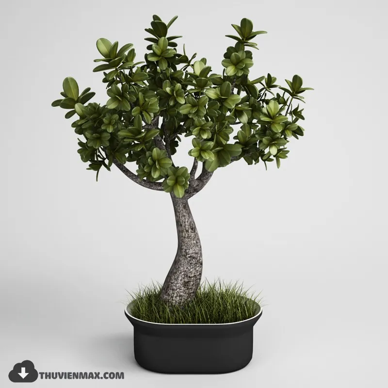 PRO PLANT 3D MODELS – 002