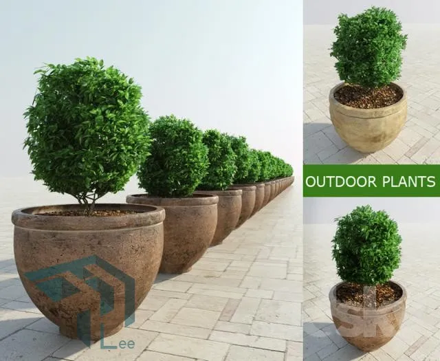 PRO PLANT 3D MODELS – 102