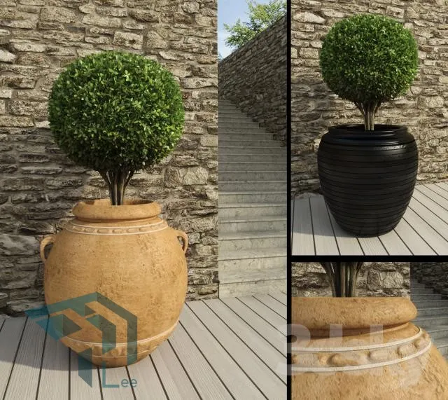 PRO PLANT 3D MODELS – 105