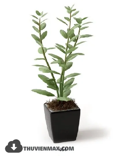 PRO PLANT 3D MODELS – 106