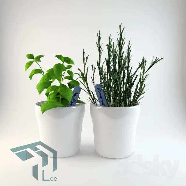 PRO PLANT 3D MODELS – 109