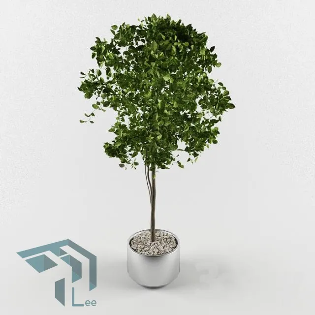 PRO PLANT 3D MODELS – 110
