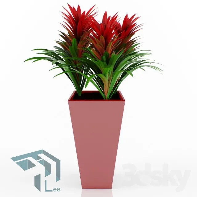 PRO PLANT 3D MODELS – 116