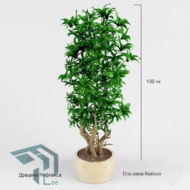 PRO PLANT 3D MODELS – 126