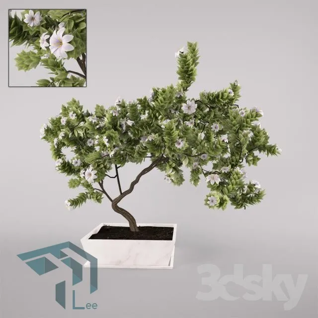 PRO PLANT 3D MODELS – 128