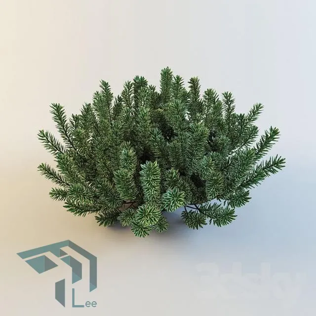 PRO PLANT 3D MODELS – 130