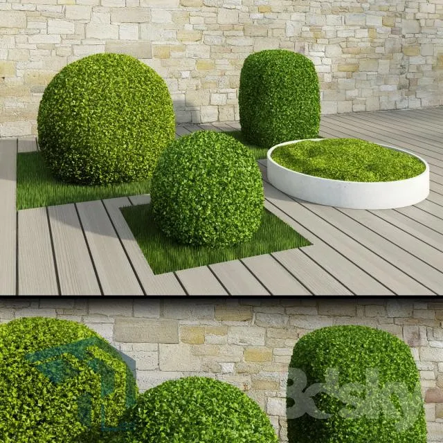 PRO PLANT 3D MODELS – 134