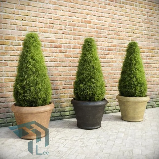 PRO PLANT 3D MODELS – 135