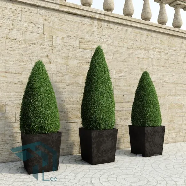 PRO PLANT 3D MODELS – 136