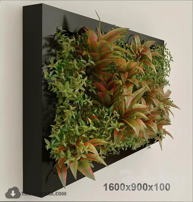 PRO PLANT 3D MODELS – 178