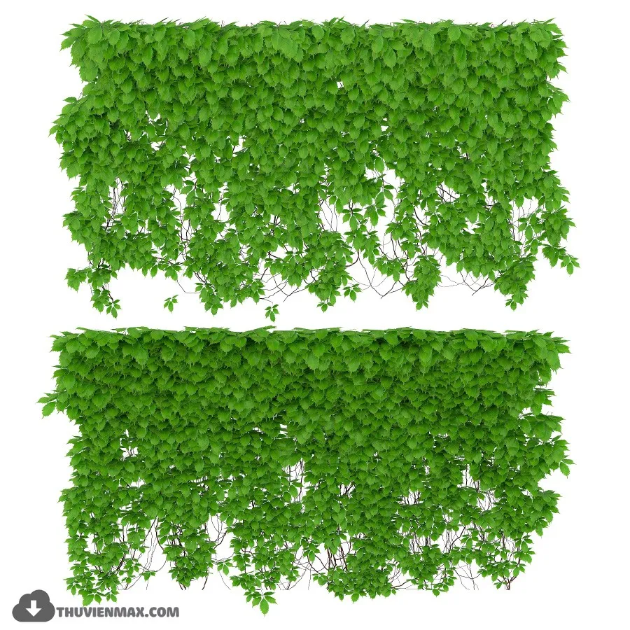 PRO PLANT 3D MODELS – 183