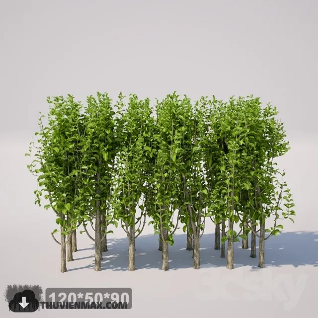 PRO PLANT 3D MODELS – 199