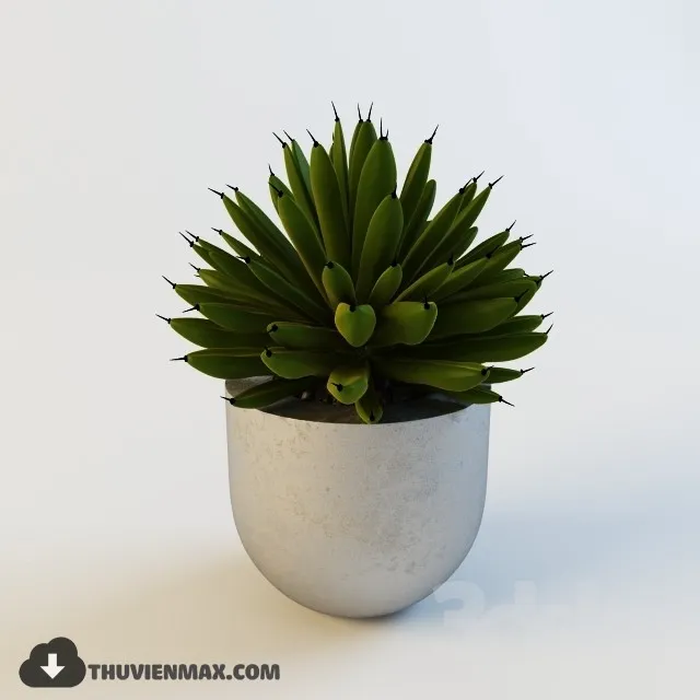 PRO PLANT 3D MODELS – 003