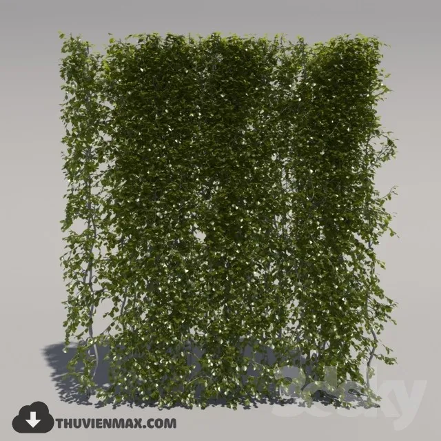 PRO PLANT 3D MODELS – 202
