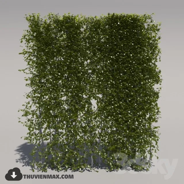 PRO PLANT 3D MODELS – 203