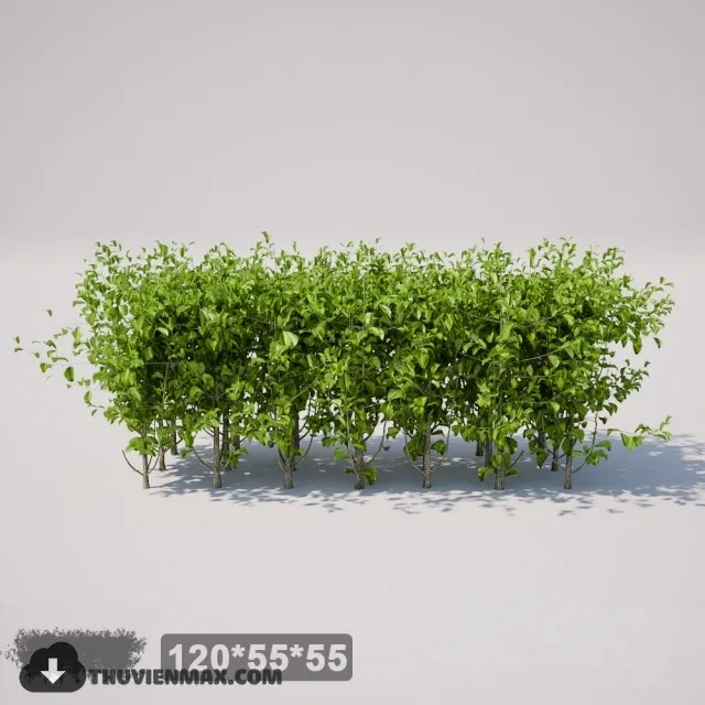 PRO PLANT 3D MODELS – 208