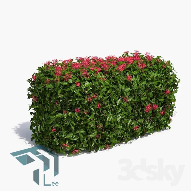 PRO PLANT 3D MODELS – 209