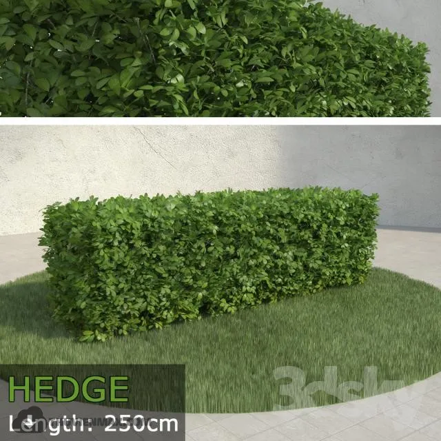 PRO PLANT 3D MODELS – 210