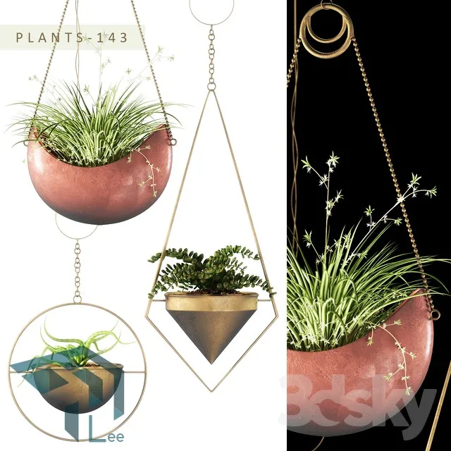 PRO PLANT 3D MODELS – 257
