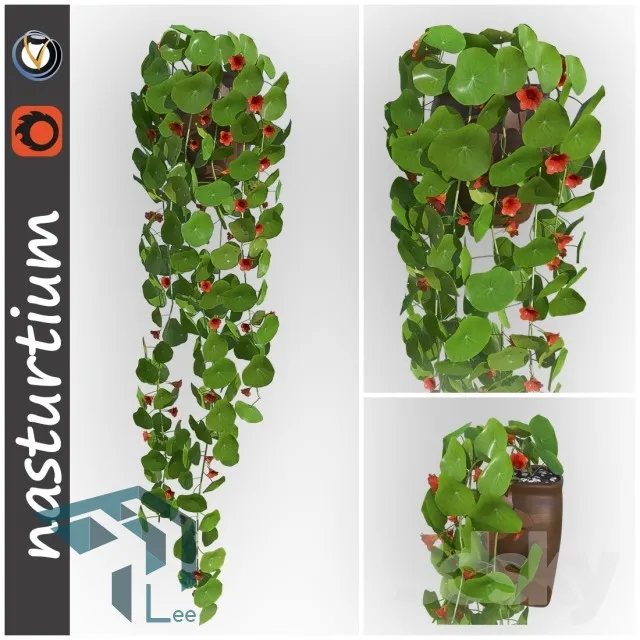 PRO PLANT 3D MODELS – 258