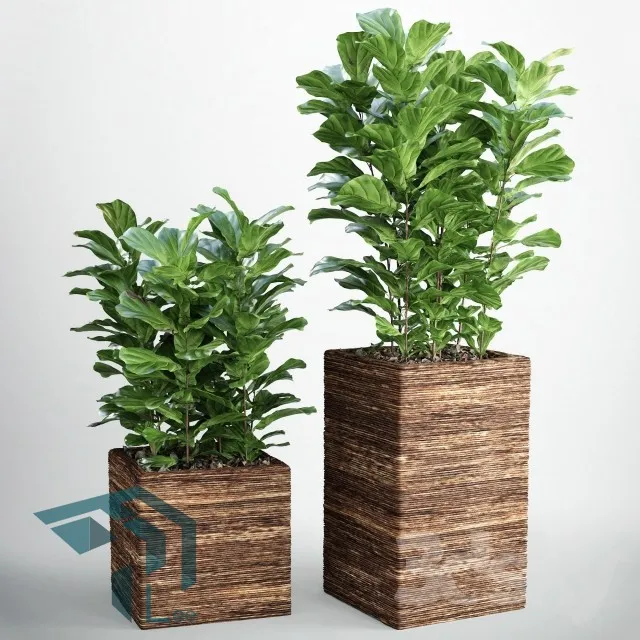 PRO PLANT 3D MODELS – 274