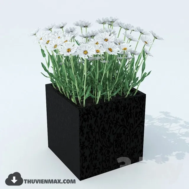 PRO PLANT 3D MODELS – 029