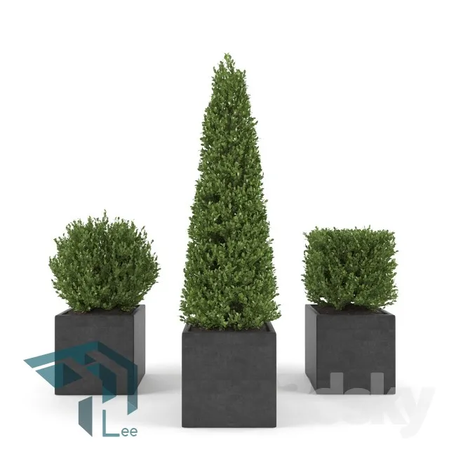 PRO PLANT 3D MODELS – 283