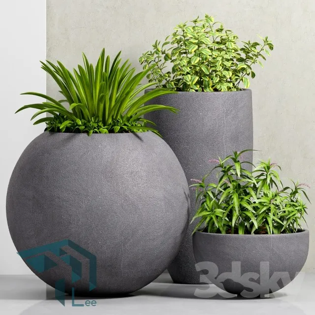 PRO PLANT 3D MODELS – 284