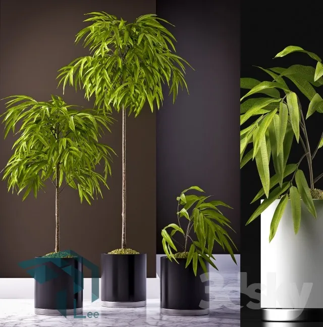 PRO PLANT 3D MODELS – 290