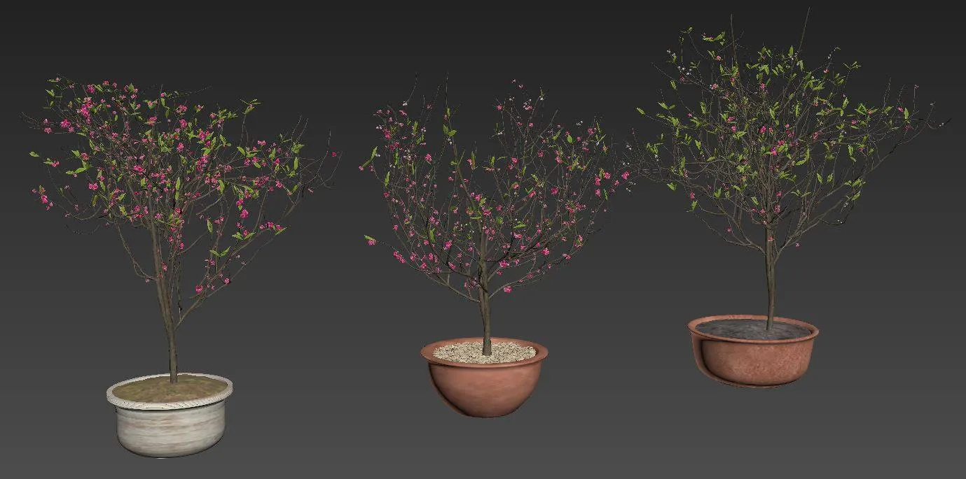 PRO PLANT 3D MODELS – 292