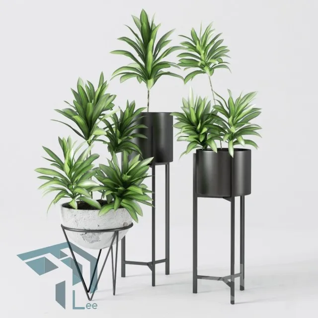 PRO PLANT 3D MODELS – 296