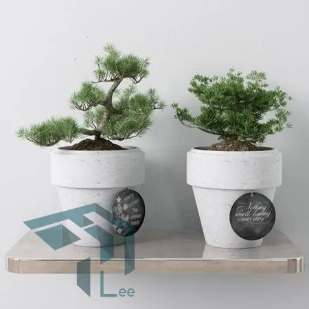 PRO PLANT 3D MODELS – 297