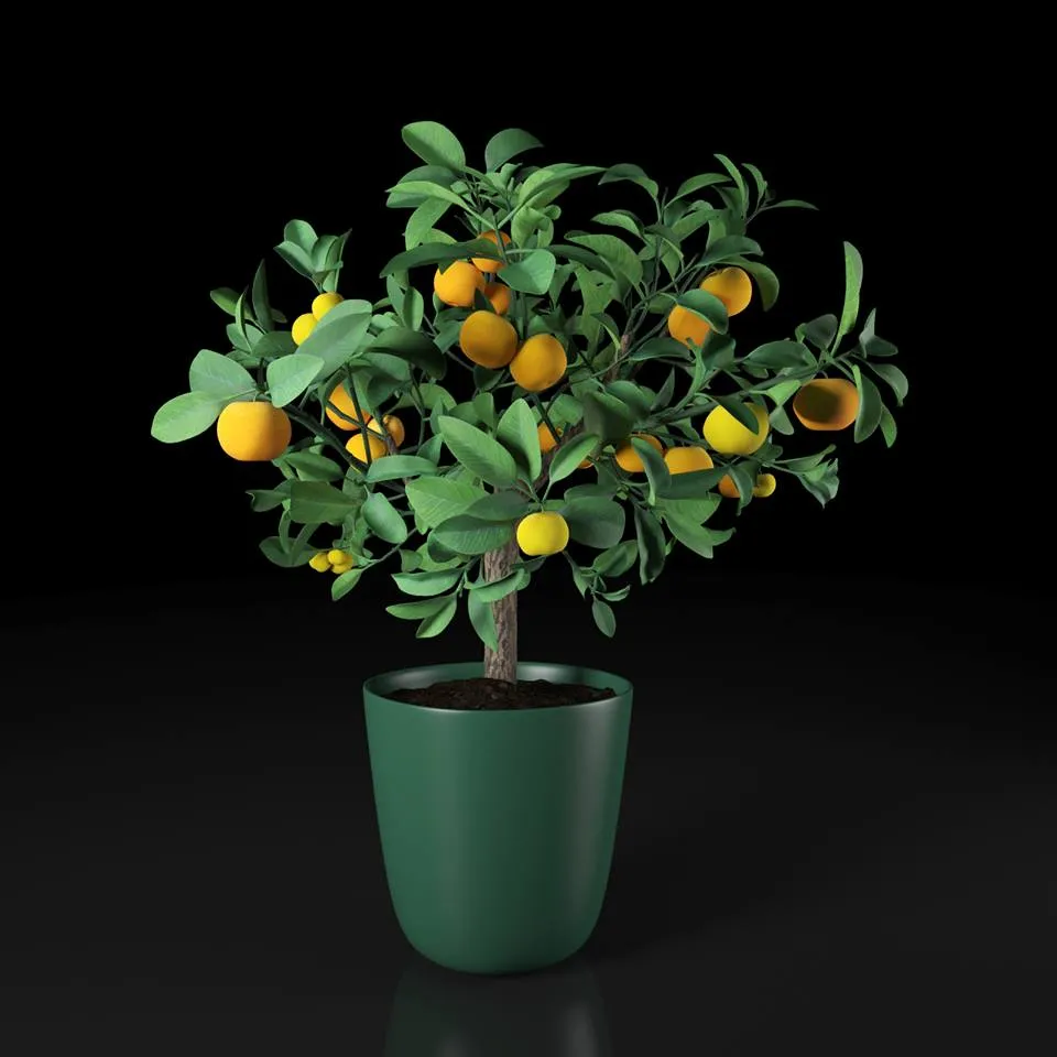 PRO PLANT 3D MODELS – 300