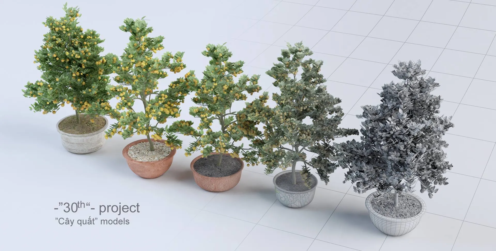 PRO PLANT 3D MODELS – 301