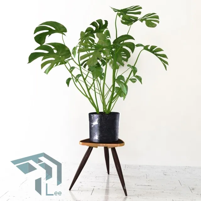 PRO PLANT 3D MODELS – 307