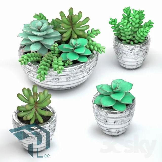 PRO PLANT 3D MODELS – 308